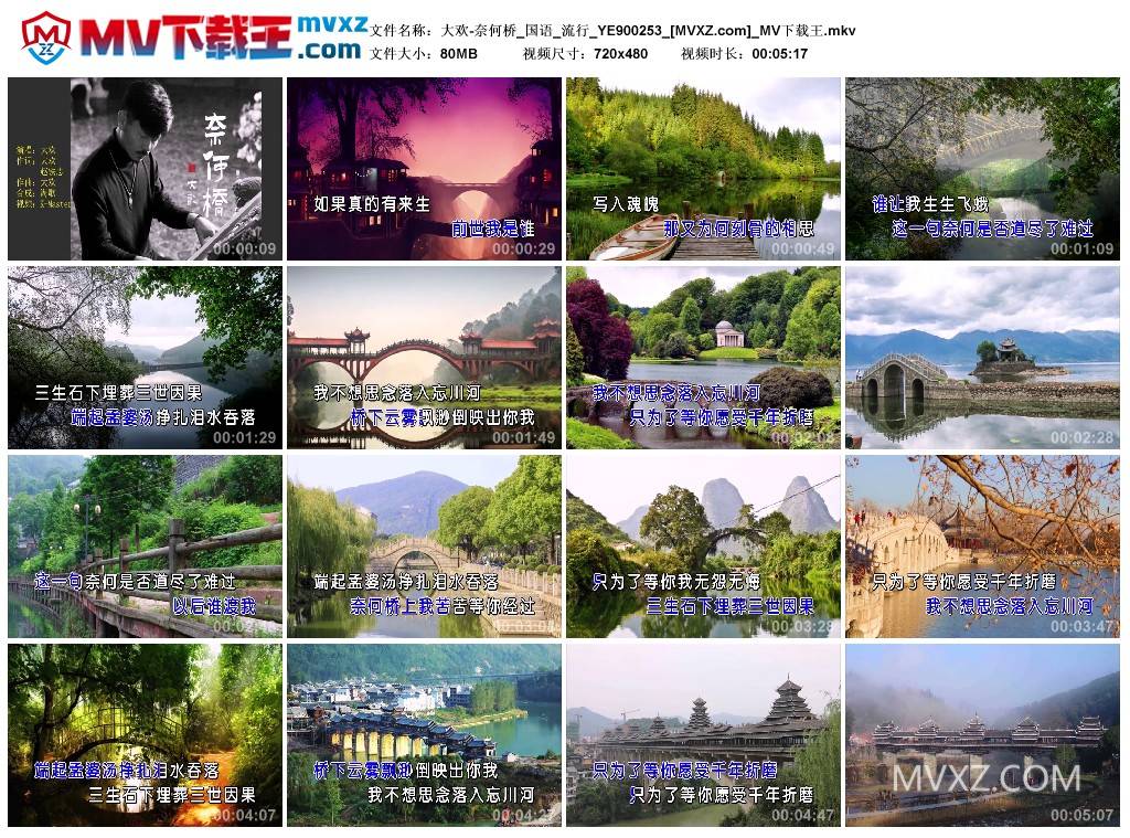 大欢-奈何桥_国语_流行_YE900253